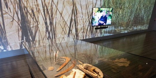 From Our Elders (Video & Projection Installation)
