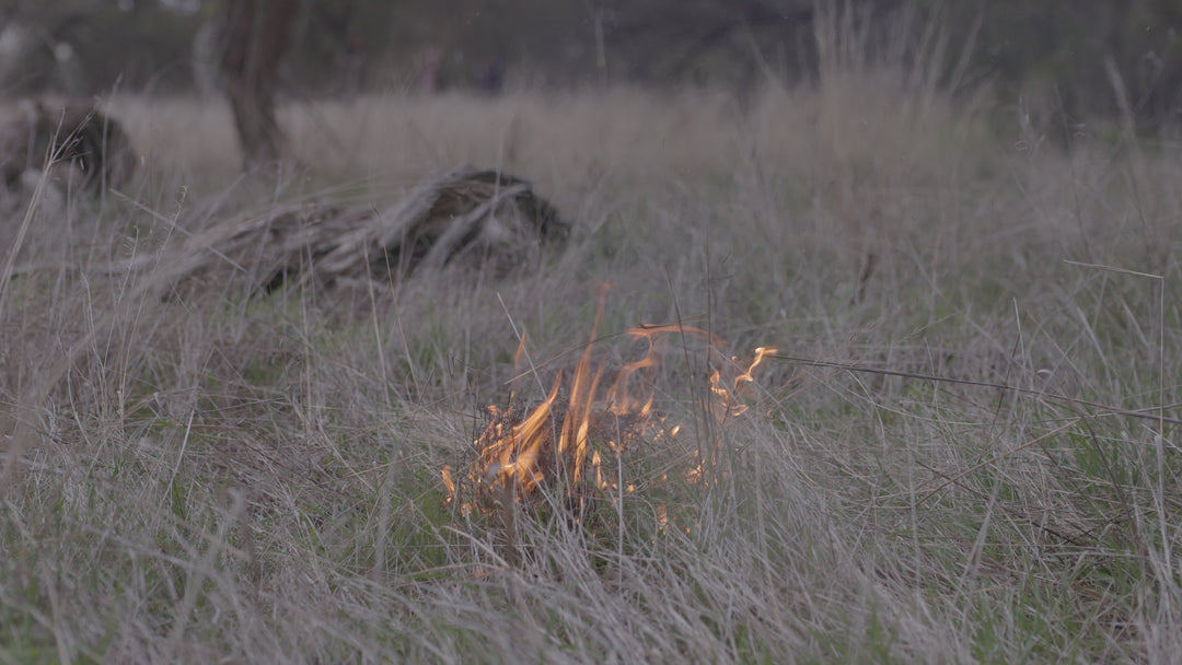 Nharangga Cultural Burns (Film Series)