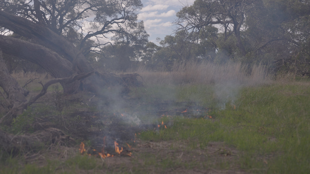 Nharangga Cultural Burns (Film Series)