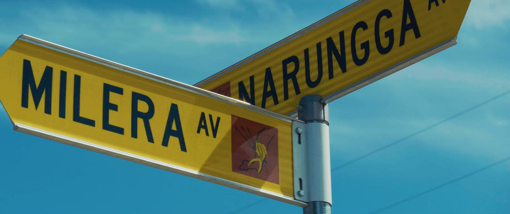 Taking Mum Home (Documentary Film — In Development)