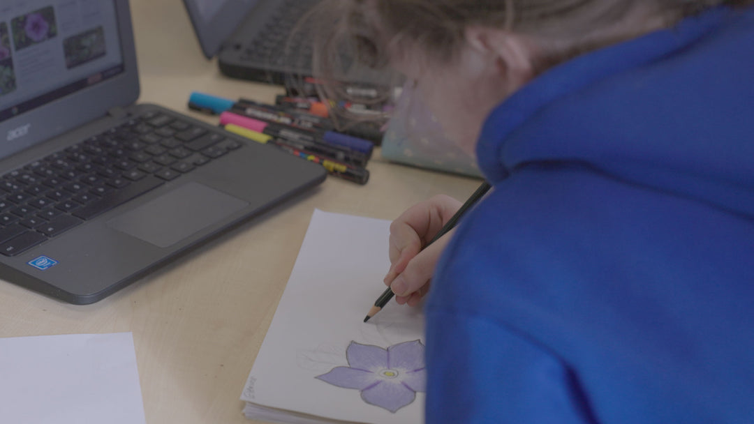 Thornbury Primary School — Augmented Reality Mural (Public Artwork)