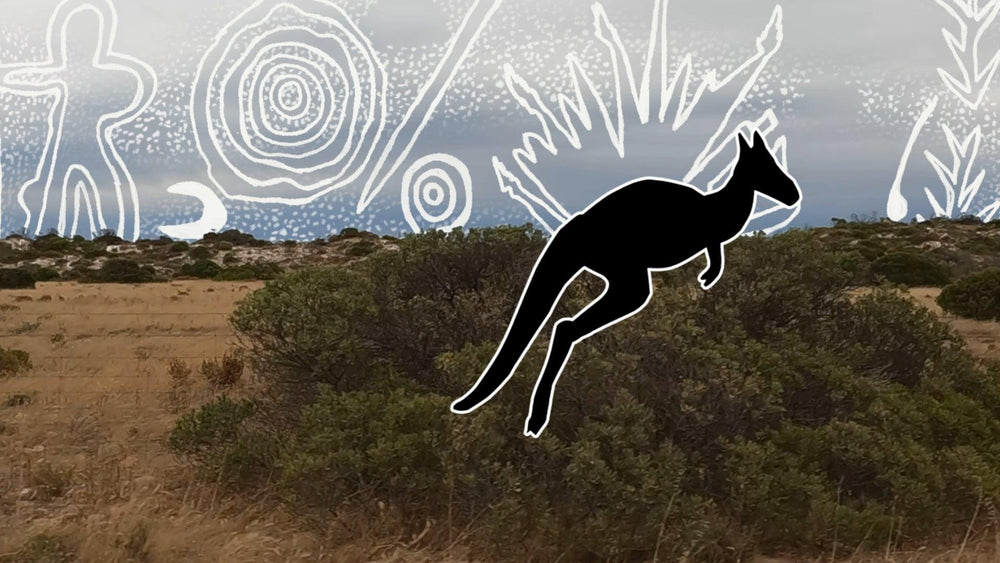 Adja Country ARt — Adelaide Winter Festival 2022 (Public Installation)