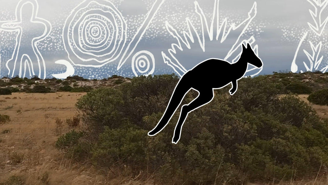 Adja Country ARt — Adelaide Winter Festival 2022 (Public Installation)