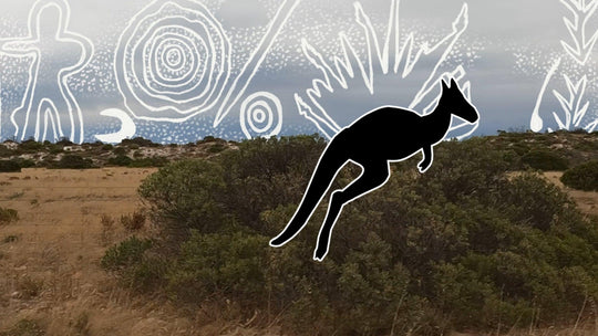 Adja Country ARt — Adelaide Winter Festival 2022 (Public Installation)